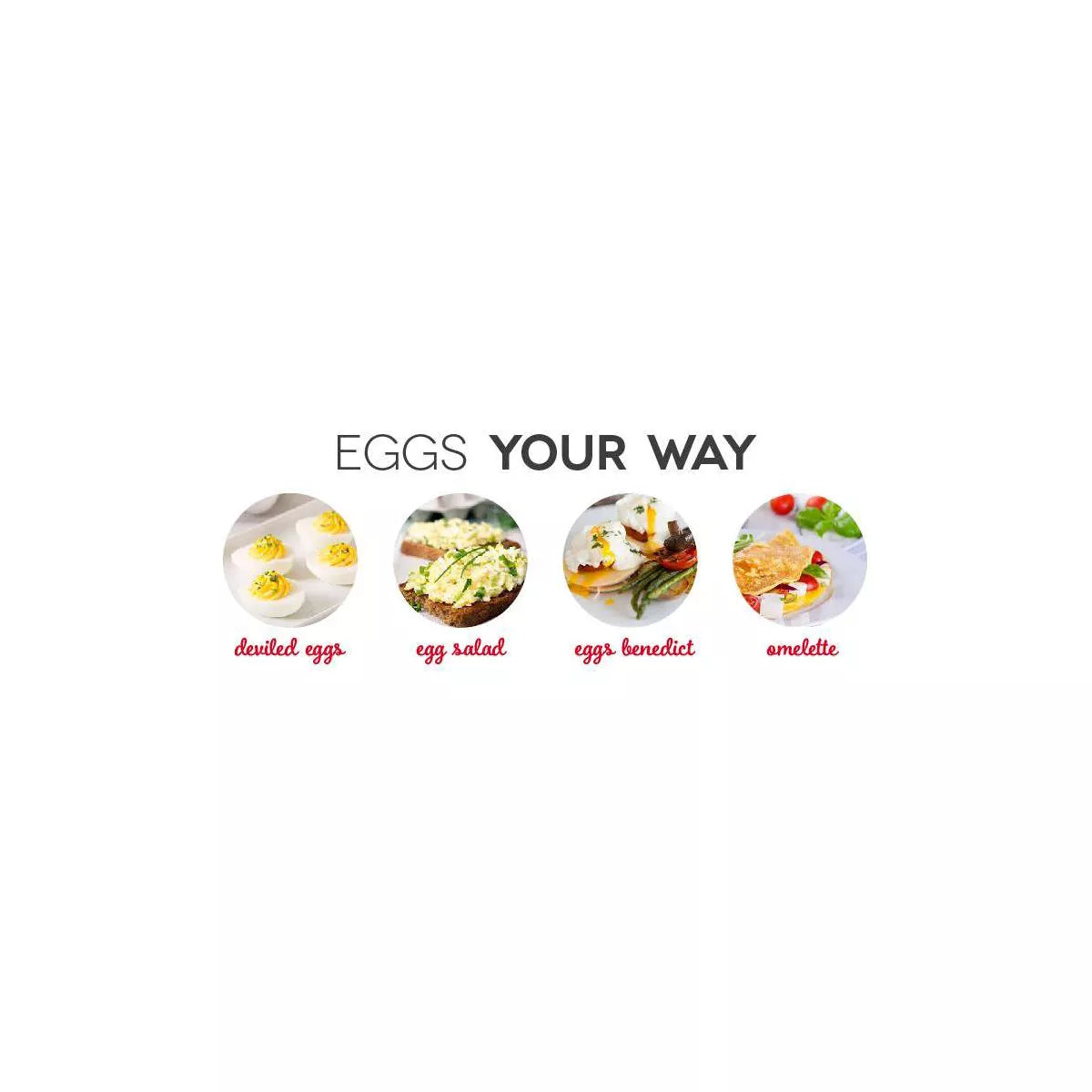 Dash 3-In-1 Everyday 7-Egg Cooker with Omelet Maker and Poaching